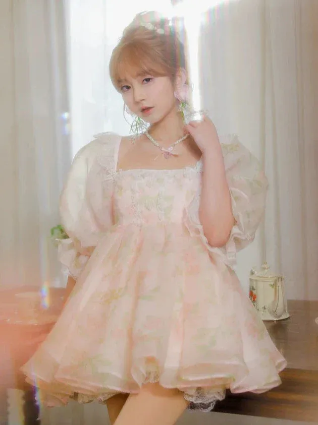 Princess Square Pink Neck Organza Dress