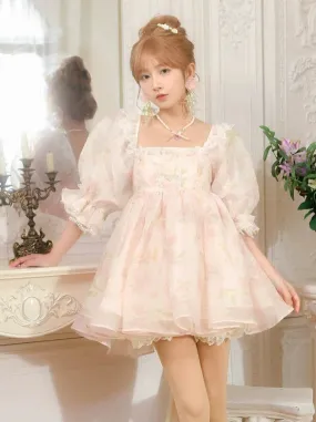 Princess Square Pink Neck Organza Dress